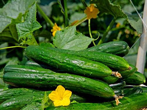 山东大瓜爆料视频大全集,揭秘娱乐圈幕后真相 第3张 山东大瓜爆料视频大全集,揭秘娱乐圈幕后真相 第3张